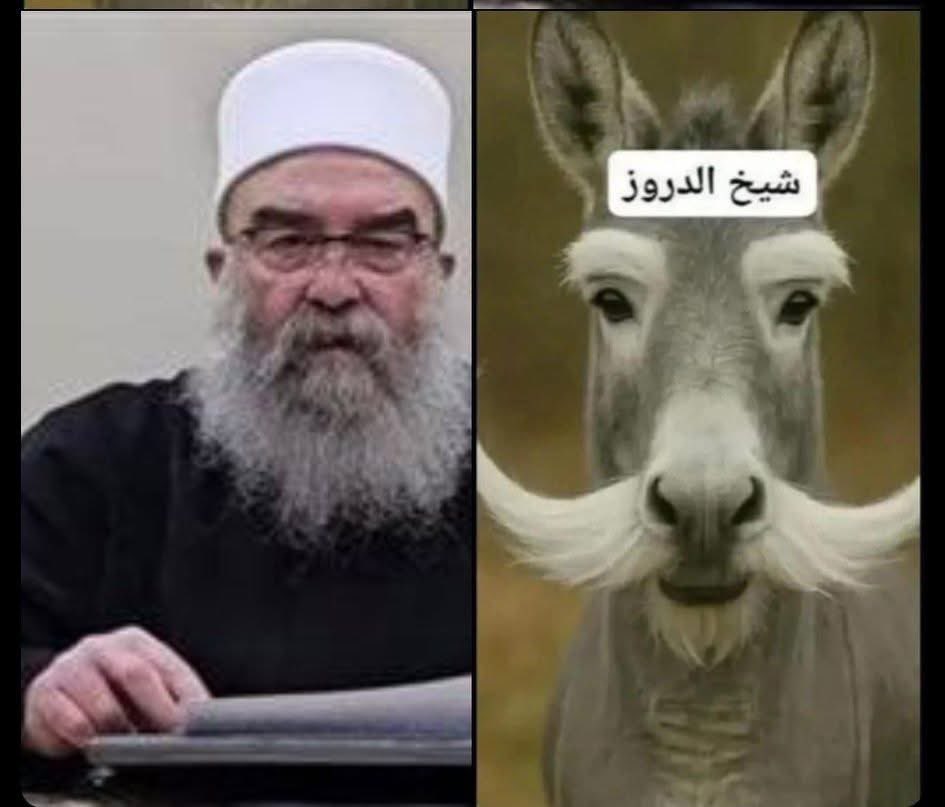 ghjano's tweet photo. @F00P4 قذارة الدروز https://t.co/osu6mOvPTf