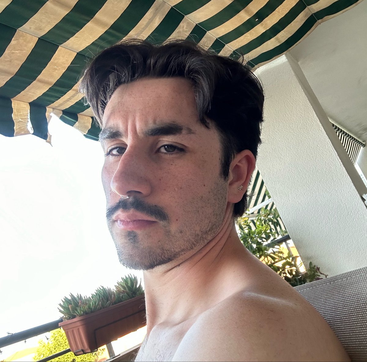 alvesik0's tweet photo. yo//lider del gimnasio que sería (pájaros regionales y murciélagos!) 🦅🦇 https://t.co/gH9qQdQakP