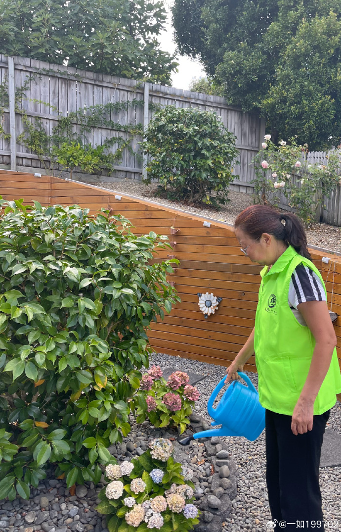 fabianreichmann's tweet photo. Community Garden Clean-Up this Sat 9am! Bring gloves, water u0026 let’s spruce up our green space together. All neighbors welcome! https://t.co/QAnmDZvqT9