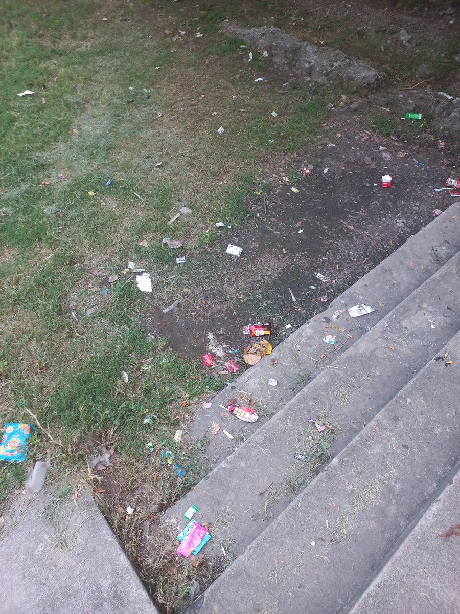 moizache's tweet photo. Dear #Quaidians and @zafar_jaspal 

I am an alumnus of Quaid-i-Azam University (Department of English, 2020 batch). During vacations my first preference is to visit my alma mater (you understand why). 
Today, I was reading sitting beside the CL and I noticed the trash all around. https://t.co/vlScBoCqKD