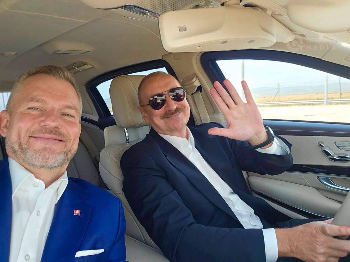 Zaur Gariboğlu tweet media