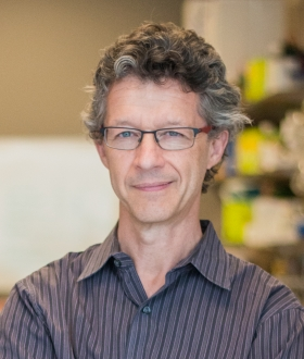 endothelialnews's tweet photo. Dr. Zoltan Arany and @Penn collaborators show in @Cell_Metabolism that metabolic rewiring during proliferation to #quiescence renders #EndothelialCells sensitive to oxidative stress, requiring nicotinamide adenine dinucleotide turnover for protection.

📖 https://t.co/1ELbqn0TIg https://t.co/jeft2V3gKb