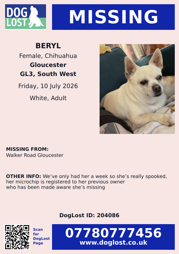 millypod1's tweet photo. 🆘10 July 2026 #Lost BERYL #ScanMe
Chihuahua Female
Walker Road #Gloucester #GL3 #Gloucestershire Owner: We’ve only had her a week so she’s really spooked, her microchip is registered to her previous owner who has been made aware she’s missing
https://t.co/aT8DxqpcMq https://t.co/AO6sTN5e0Q