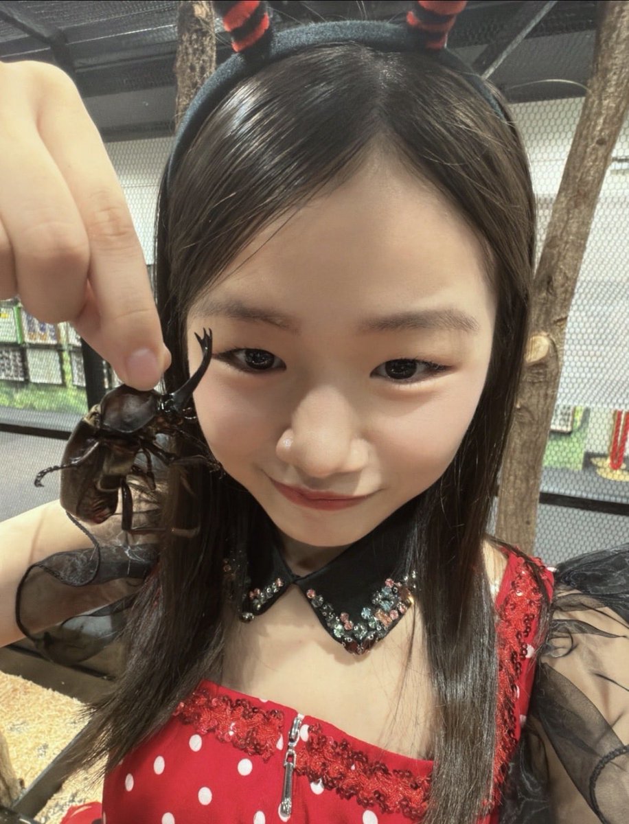 amilove2022's tweet photo. つばきファクトリーの末っ子メンバー西村乙輝ちゃん💛
ハロプロ特別ユニット「ConChu!」に選抜されて活動中✨
普通なら緊張しそうだけど、乙輝ちゃんはノビノビの印象
つばきファクトリーとは違う刺激を楽しんでいるみたい
#西村乙輝ちゃん
#つばきファクトリー
#ConChu https://t.co/6Sjpgi1Gb2