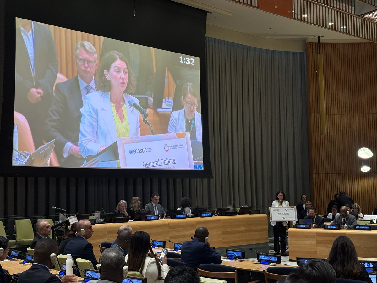 España en la ONU tweet media