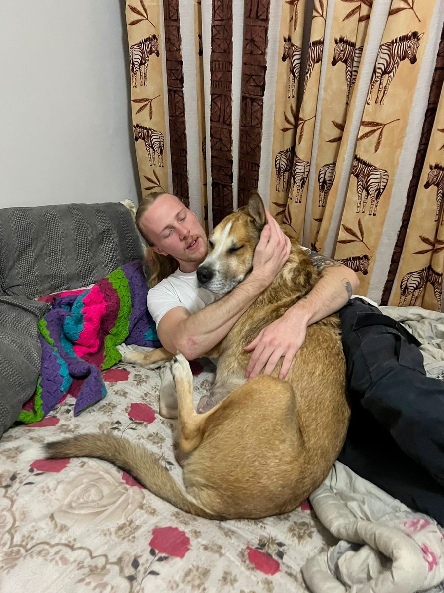 scs3369's tweet photo. @PresElectwvmama @TaniaVanZy2228 Yeah very Blessed that God put my friend in my life. I pay his rent, internet, utilities and food for the pets and he lives in my old apartment. Both Caesar &amp; Lola Love him and his girlfriend very much he takes Caesar for a walk every morning ❤️ double bed just for Caesar &amp; Lola https://t.co/gdRd6YCOqD