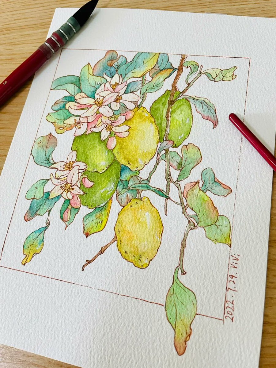 BTS__ARMY__0613's tweet photo. [Learning a new hobby Small steps count! Try 15 mins of sketching daily—creativity grows faster than you think ]， https://t.co/XkqDP8FYBW