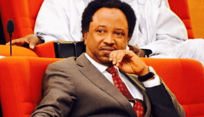 Daily Post Nigeria tweet media