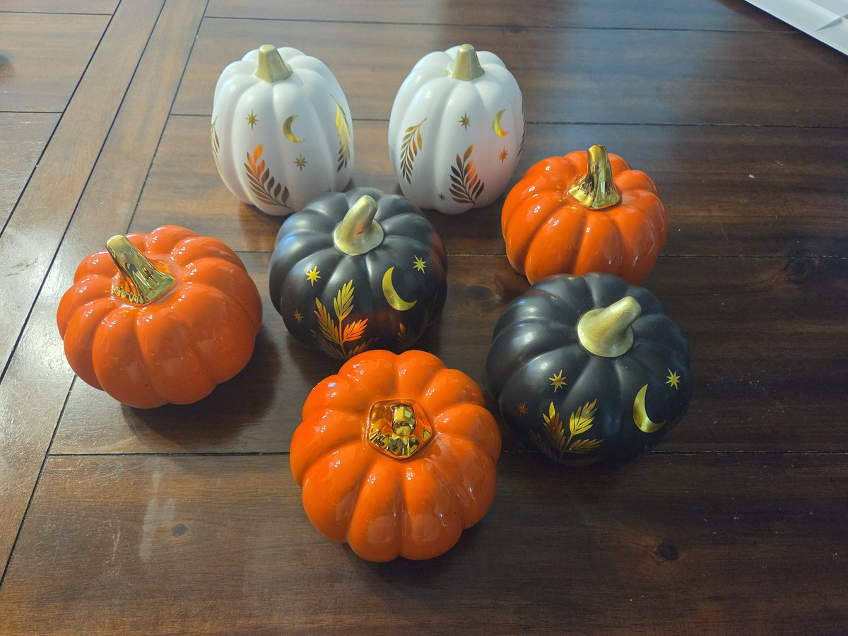 IslandPark2023's tweet photo. I had a final gift card to Target from a student on my bus. Walked in to buy a shirt, walked out with ceramic pumpkins instead. #LoveFall 🎃🍁🍂 https://t.co/uFTQ9oYFr4