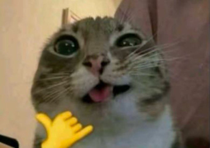 courtYEET's tweet photo. when i dont really have to worry about the explosive diarrhea parasite bc i still have the diet of a poor college student #cantcook #bebisexual #eathotchip #lie https://t.co/RgING8MlNb