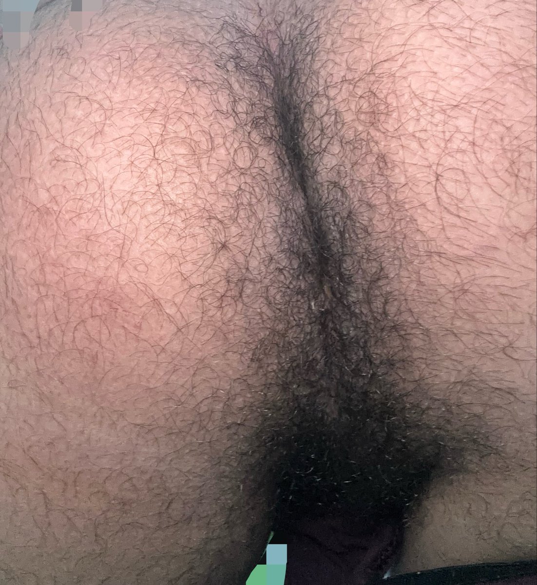 TwunkieCalebz's tweet photo. hairy hole👅 

#gay #gayhole #ass #hairy #male #hairyass #hairyhole #nsfw #hairygay #balls #nude #butt https://t.co/1V2cuT46A1