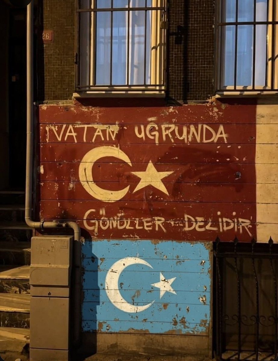 🇹🇷 𐱅𐰇𐰼𐰰 ÖZNUR tweet media