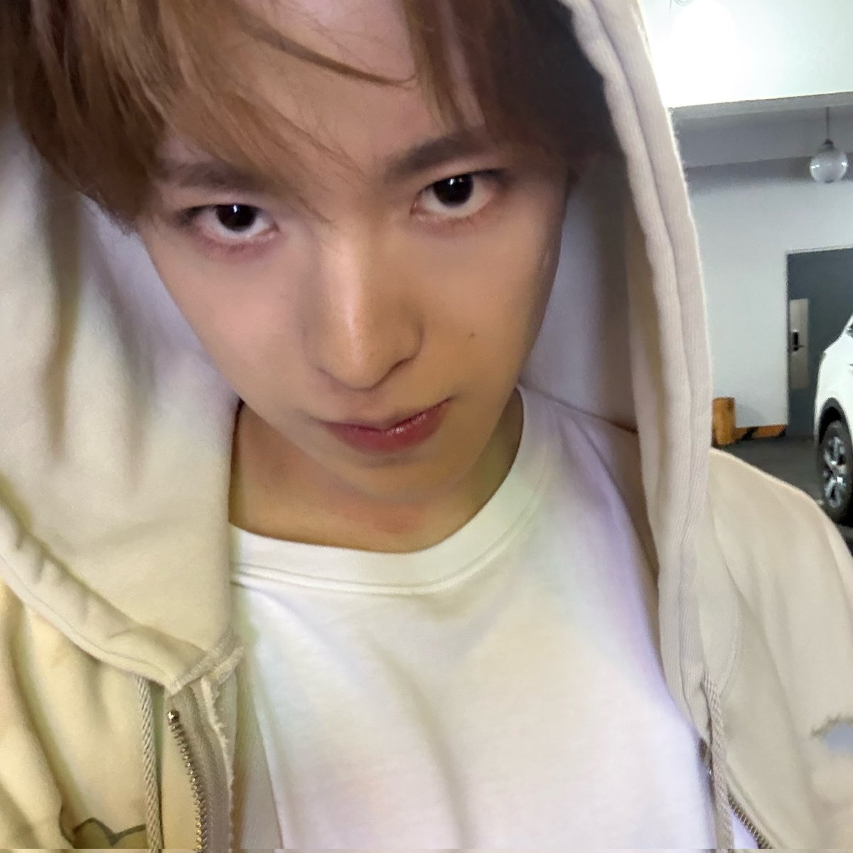 HD ㅌㅊㅅ tweet media