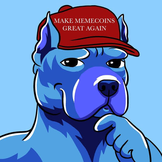 Fredvelezcrypto tweet picture