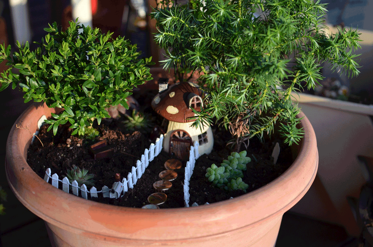arizonapottery's tweet photo. Turn a outdoor planter into a fairy garden.  Pick up toy pieces at a craft store.  And place them around your plants.  Works good with succulents.... #FairyGarden #DIYFairyGarden #ArizonaPottery https://t.co/FaLw71gghq
