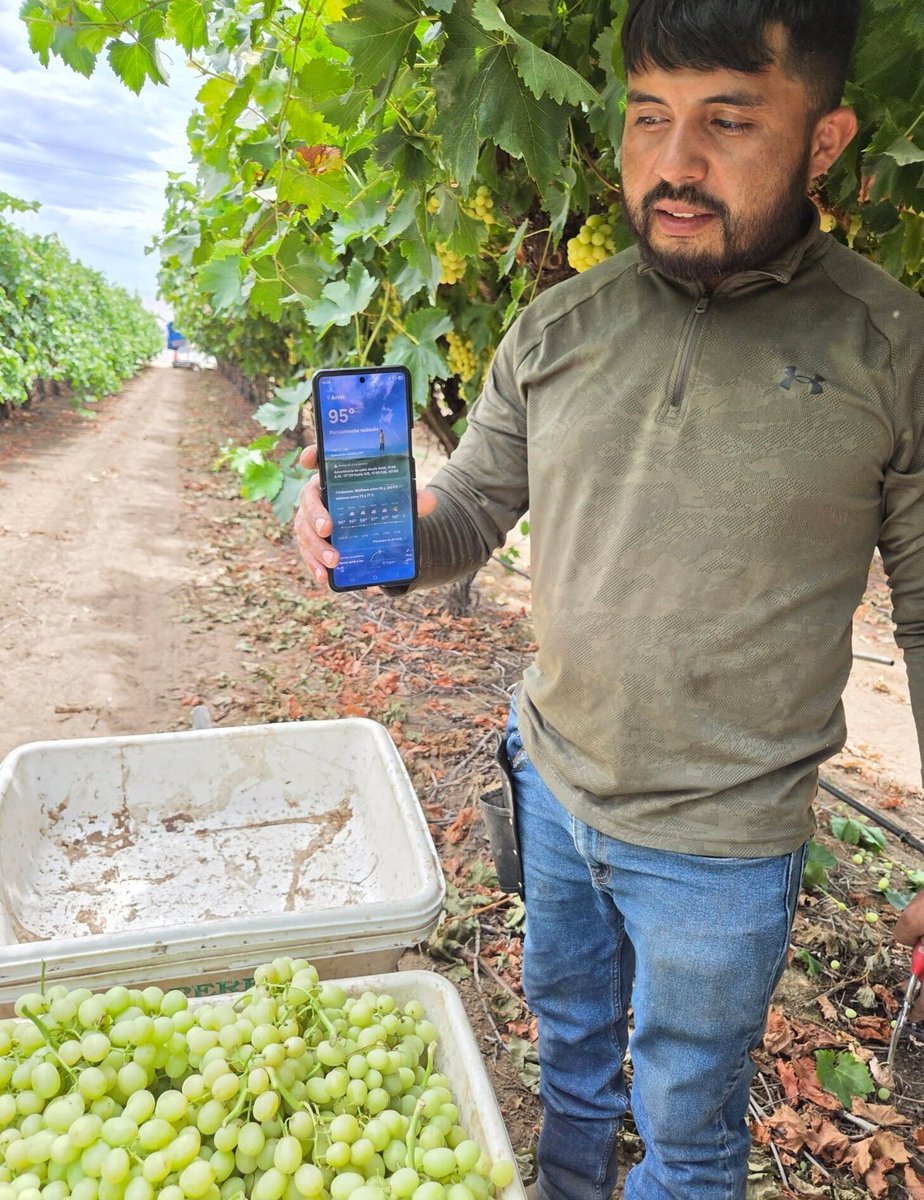 United Farm Workers tweet media