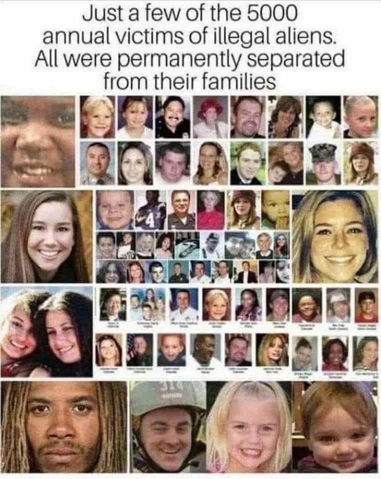 KILLtrOTTcity's tweet photo. @Sassafrass_84 Every Single Death,murder,rape or violent crime committed on an American Citizen by an ILLEGAL IMMIGRANT CRIMINAL is a tragedy that could of and should of easily been PREVENTED.

Every Single American shown here and thousands more should still be ALIVE..

AMERICANS FIRST!❤️🫡🇺🇸 https://t.co/jUVohLUHwI