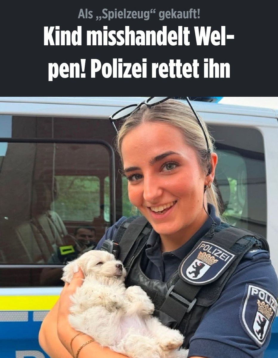 Siegvarg tweet media