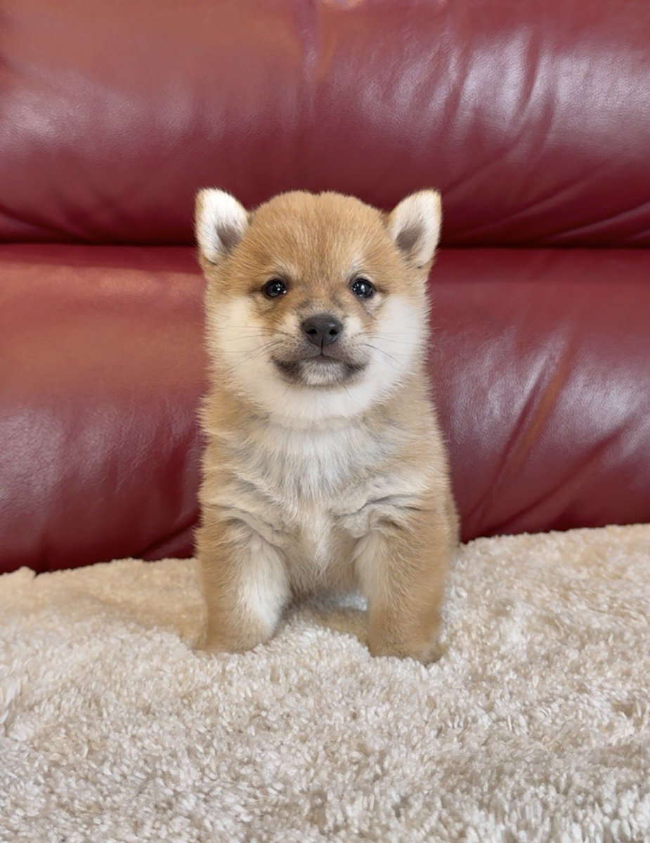 yeolay622's tweet photo. ぽいちのアカウント🐕よければ覗いてください🆙🍀🌟

https://t.co/N4XLUapGu5 https://t.co/rQuwAleyW8