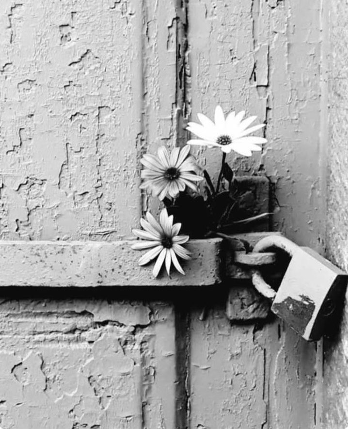 bbnn7's tweet photo. وفعلٌ يُرى
خيرُ من ألف كلمةِ "تُقال ".🍃 https://t.co/8YhzNjuJPW
