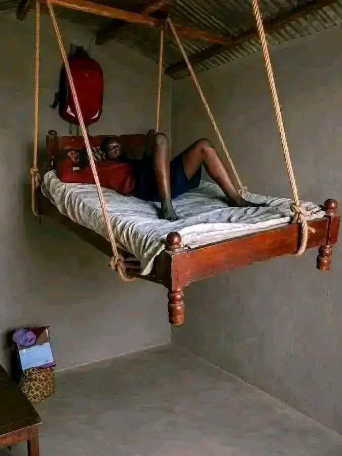 BUKOLA tweet media