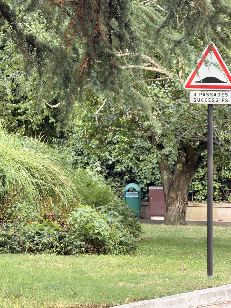 mbrask_'s tweet photo. « C’est l’été la végétation brûle »

Il y a 20 mètres et une rue entre ces deux photos. Sauf que celle avec une végétation encore vivante, ce n’est pas grâce la ville de Paris mais Charenton. https://t.co/5I1Mq0A8Cr