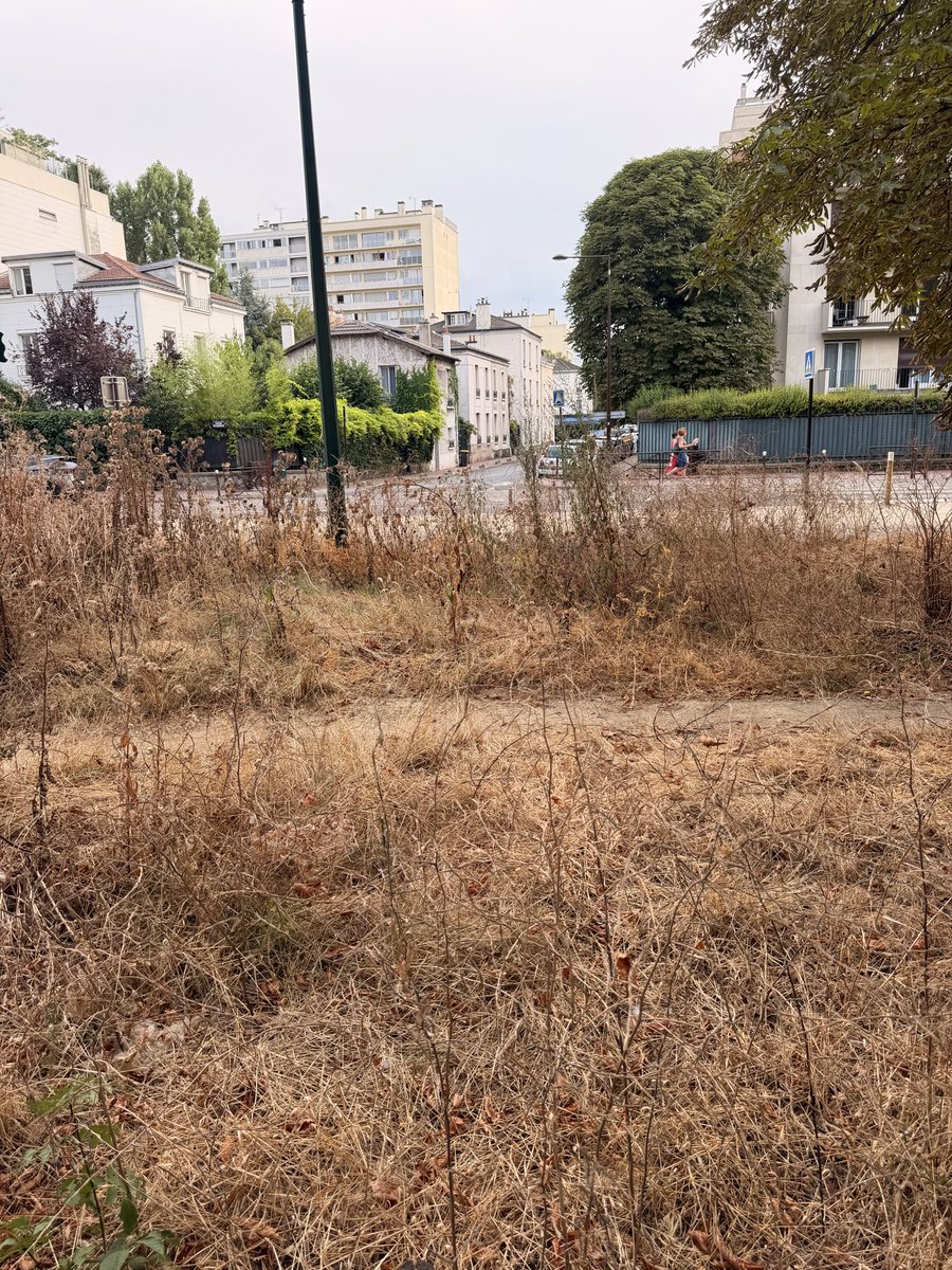 mbrask_'s tweet photo. « C’est l’été la végétation brûle »

Il y a 20 mètres et une rue entre ces deux photos. Sauf que celle avec une végétation encore vivante, ce n’est pas grâce la ville de Paris mais Charenton. https://t.co/5I1Mq0A8Cr