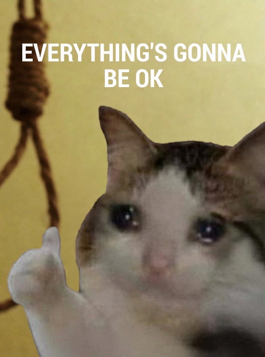 MemeBeacon's tweet photo. @MustStopMurad so we’re $ok ? https://t.co/fuySEj3z49