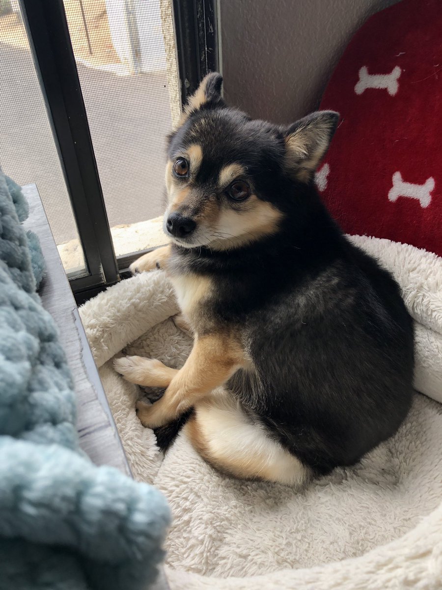 CthuwuLel's tweet photo. why is she sitting like that 😭 https://t.co/8EkN0Uhn4o