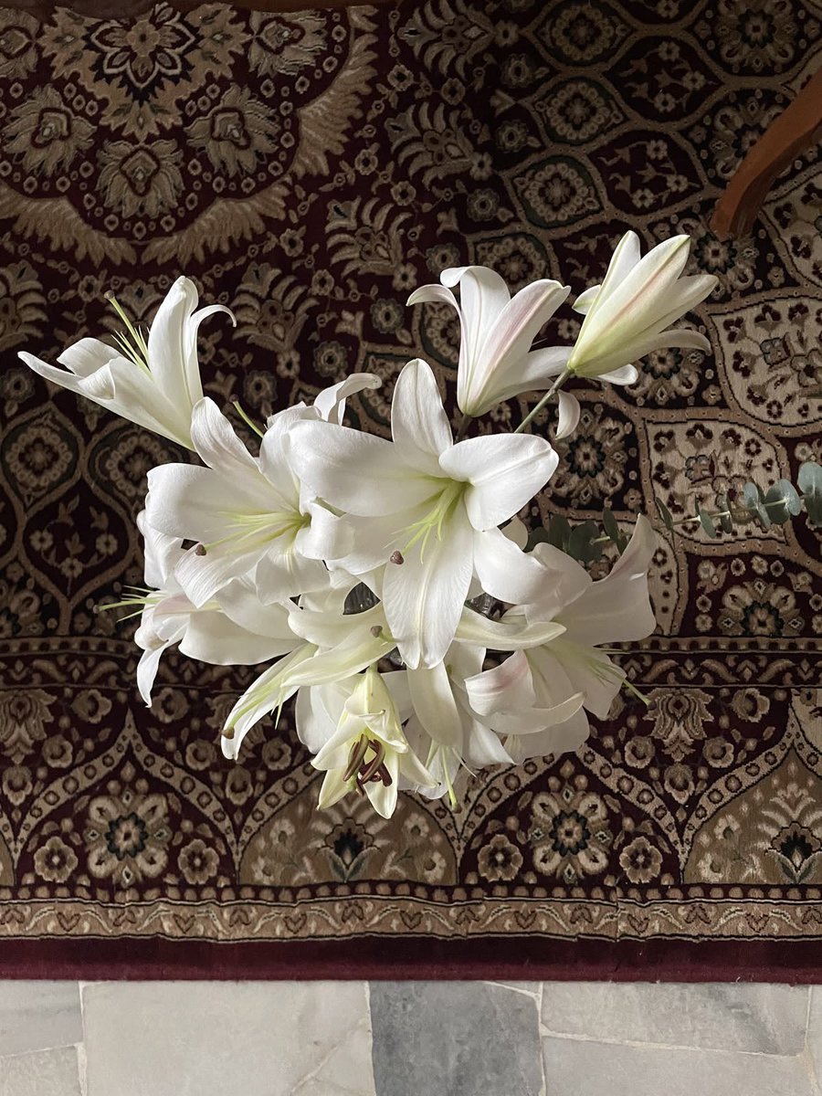 i3Moment's tweet photo. Lilies https://t.co/nw1oYUjMGM