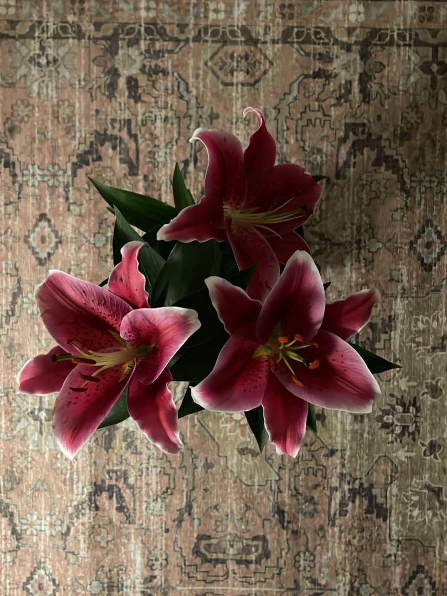 i3Moment's tweet photo. Lilies https://t.co/nw1oYUjMGM