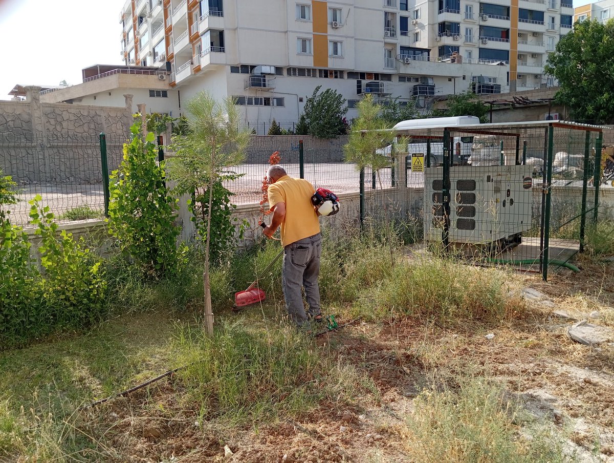 Nusaybintobb's tweet photo. Yaz tatili boyunca okuldaki çalışmalarımız aralıksız devam etmektedir. Okulumuzun daha kullanışlı ve güvenli hale getirmek adına imkânlarımız doğrultusunda çalışmalarımızı sürdürüyoruz
@mardinilmem 
@ali_eyyupkoca 
@nusaybin_mem 
@haciavlanmaz 
@RHisarciklioglu 
@necdetaktas47 https://t.co/6ebk43iYLs
