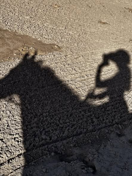 BobSteiner1's tweet photo. Riding through life, with nothing but the wind and the open space around me, I’ve realized that it’s not the path that defines us, but the way we choose to embrace it. Let the shadows reflect who you truly are, not who others expect you to be.#HorsebackRiding #HorseRider https://t.co/h9iCZM9xLm