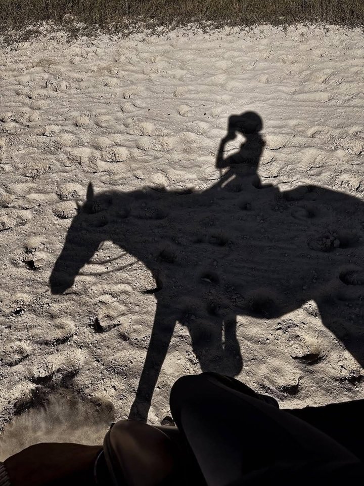 BobSteiner1's tweet photo. Riding through life, with nothing but the wind and the open space around me, I’ve realized that it’s not the path that defines us, but the way we choose to embrace it. Let the shadows reflect who you truly are, not who others expect you to be.#HorsebackRiding #HorseRider https://t.co/h9iCZM9xLm