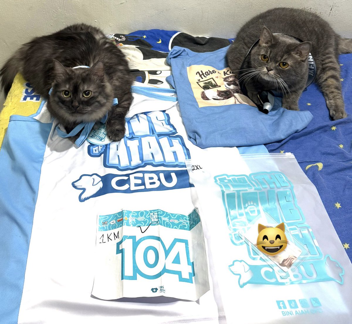 Plannet_Cosmos's tweet photo. Pinalaki na ng Fur the Love of Aiah ๐ธ
#FURtheLoveOfAiahLeg3 #FTLOACebu https://t.co/GRhEd174mk