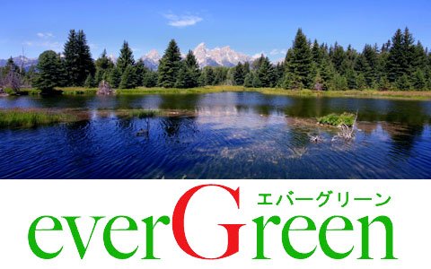 evergreentokyo's tweet photo. ★★　予約状況（11：05現在）　★★

*** 西早稲田 ***
津島　16：00～

*** 目黒店 ***
三浦　16：30～

エバーグリーン https://t.co/VZNFJWl6gL