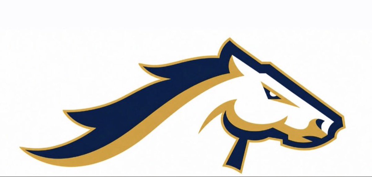 stjr3_'s tweet photo. More than blessed to receive an offer from Royal Dynasty Stallions! @VeniceIndianFB @VeniceRecruit10 @john_p34 @jleee74 @a_jax_11 @CoachKam10 https://t.co/jRWd6VumF0