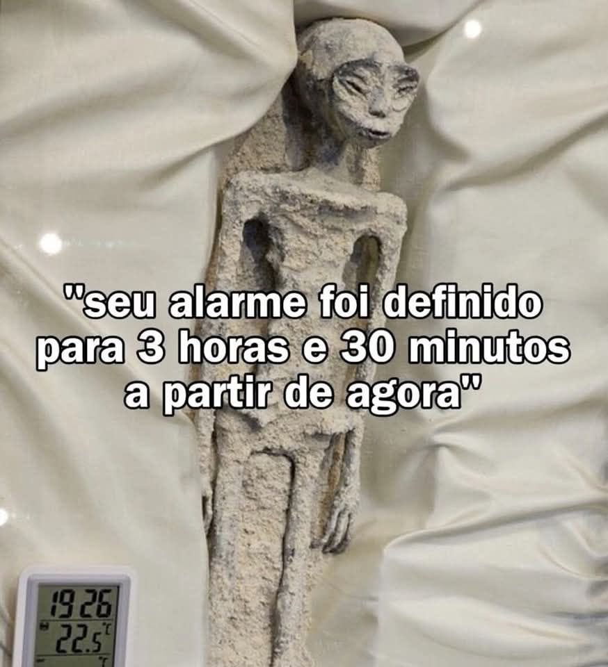 shitpostverdade's tweet photo. https://t.co/Kl8yKusSmM