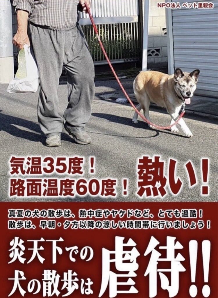 aluhoney's tweet photo. あの時
こうしておけば良かったのに
という言葉 大嫌い
「あの時」は二度と来ない

【🔥暑い昼間に
子供や犬猫と散歩やめて】

【ほんの数分のつもりでも
🔥車内に置き去りやめて】

#注意喚起 #肉球火傷 #熱中症 #無神経な親 #思いやりのない飼い主 #命軽視 #声かけ #繋ぎ待たせは危険です #地域の目 https://t.co/mSBulzvWIs