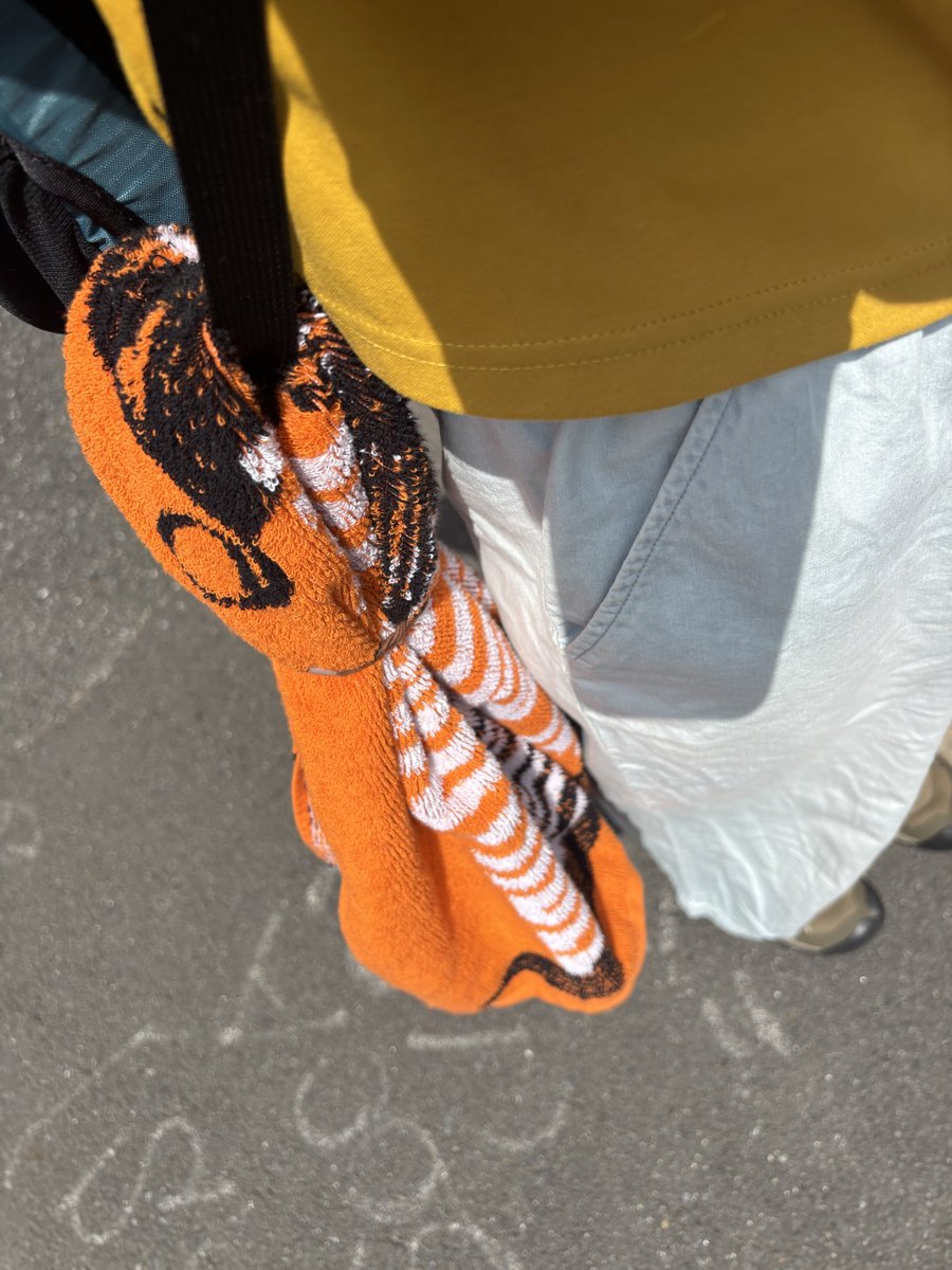masadamari's tweet photo. 当選確定のお知らせを願って、今日はイミュタオル同伴で祇園祭ガイド踏破するよ！ https://t.co/ikHkI7uES5