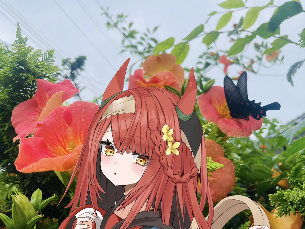 kagamisaki_KSP's tweet photo. おはようございます💖

ほどよいくもりな過ごしやすいお天気☁️
ちょうちょさんも元気いっぱい🦋✨

今日もステキな日になりますように🍀🎀🫧
#岡山県
#鏡野町
#ご当地萌えキャラ
#香々美彩姫 https://t.co/enEEgpFomg