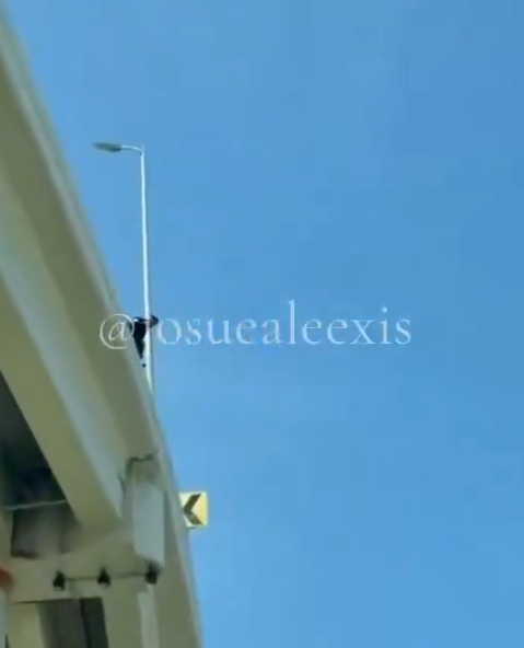 elalbertomedina's tweet photo. 🚨 Policía de León, Guanajuato graba video donde confiesa tener depresión, se despide de sus seres queridos y después se quita la vida lanzándose desde lo alto de un puente.

Se trata del oficial Orlando García Maciel, elemento de la policía municipal de León.

Momentos antes de acabar con su vida, grabó un mensaje donde pidió a todos no dejar al último la salud mental... y al mismo tiempo se despedía de quienes lo conocieron.

Lamentable. Descanse en paz.