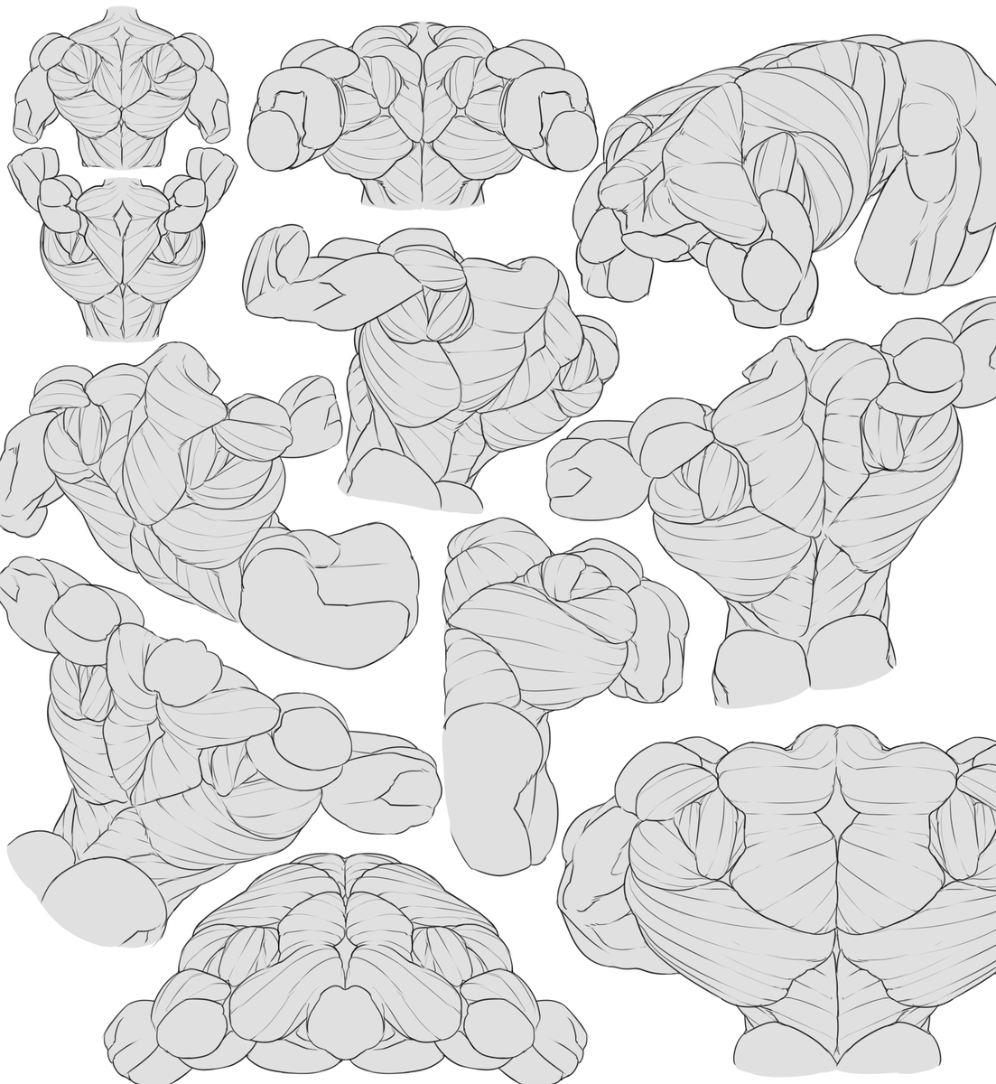 Newberrychucks's tweet photo. now BACK with another study! This time different poses and angles for back muscles 💪💪💪 for @lowontrash https://t.co/Jpe0QZ0ICA