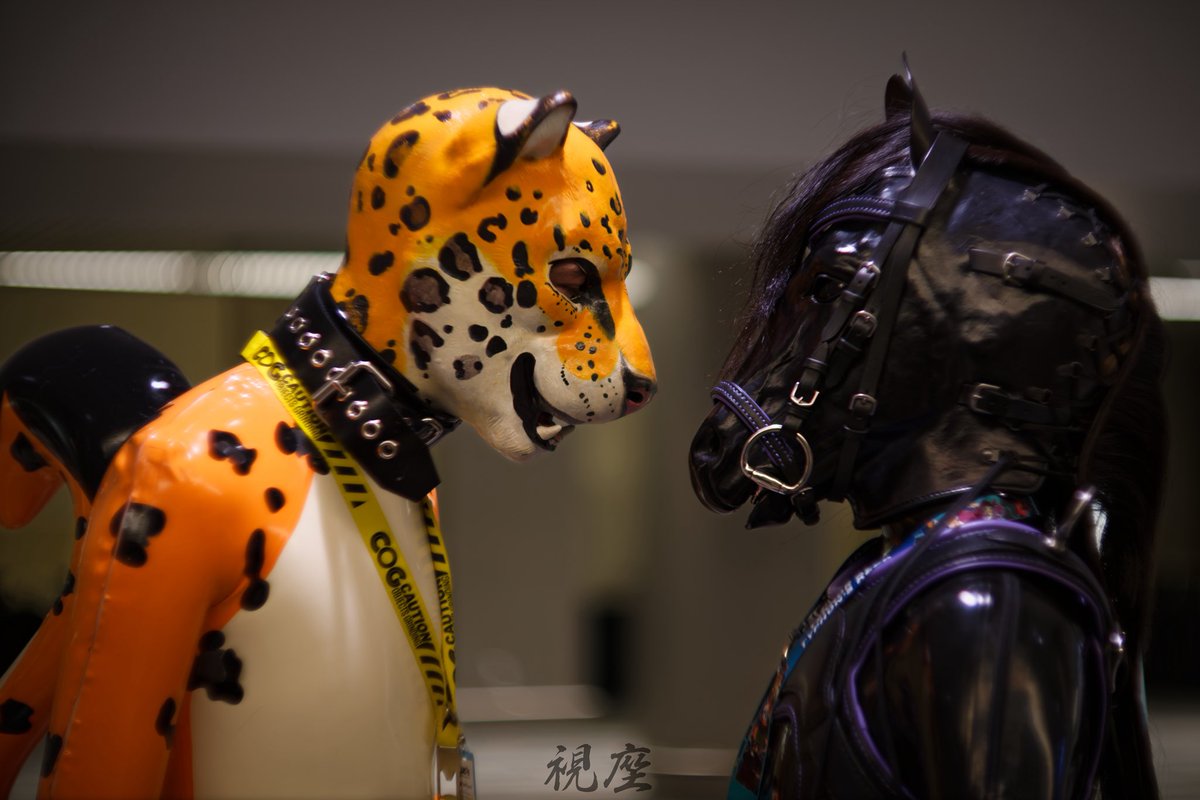 Rubberfeathers's tweet photo. Transformed into our true rubbery selves.

With @AkaruAD 

Pic: @Thorphax https://t.co/es73fOFhqu