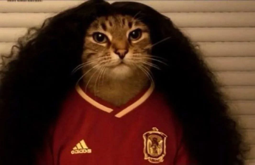 DaisyVera0's tweet photo. Me encanta este tipo @cucurella3 jajaj como se mueve en la cancha; como defiende, etc..GRANDE CUCURELLA #mundialdefútbol2026  #EspañaFrancia https://t.co/VE5kI3iKP4