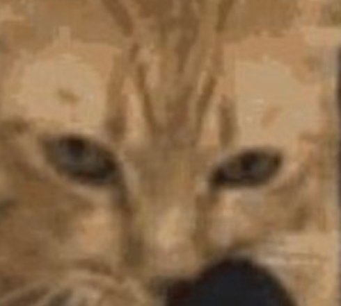 General Catton, soon warlord of former Seattle tweet media