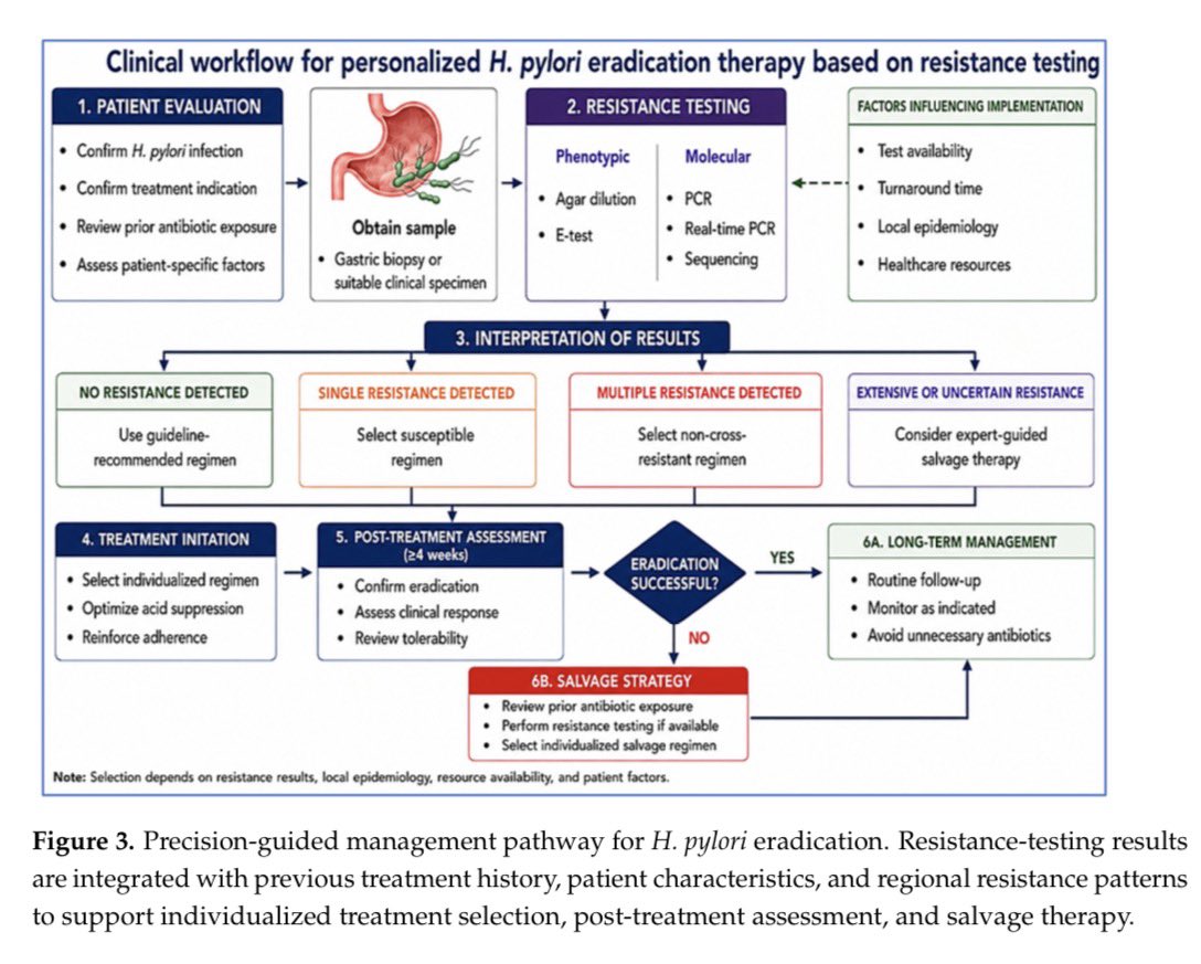 AliSMV7's tweet photo. Helicobacter pylori Eradication in the Era of Antibiotic Resistance: From Universal Regimens to Precision-Guided Management

https://t.co/xLUMQKVT2z https://t.co/mKBSSJxEGp