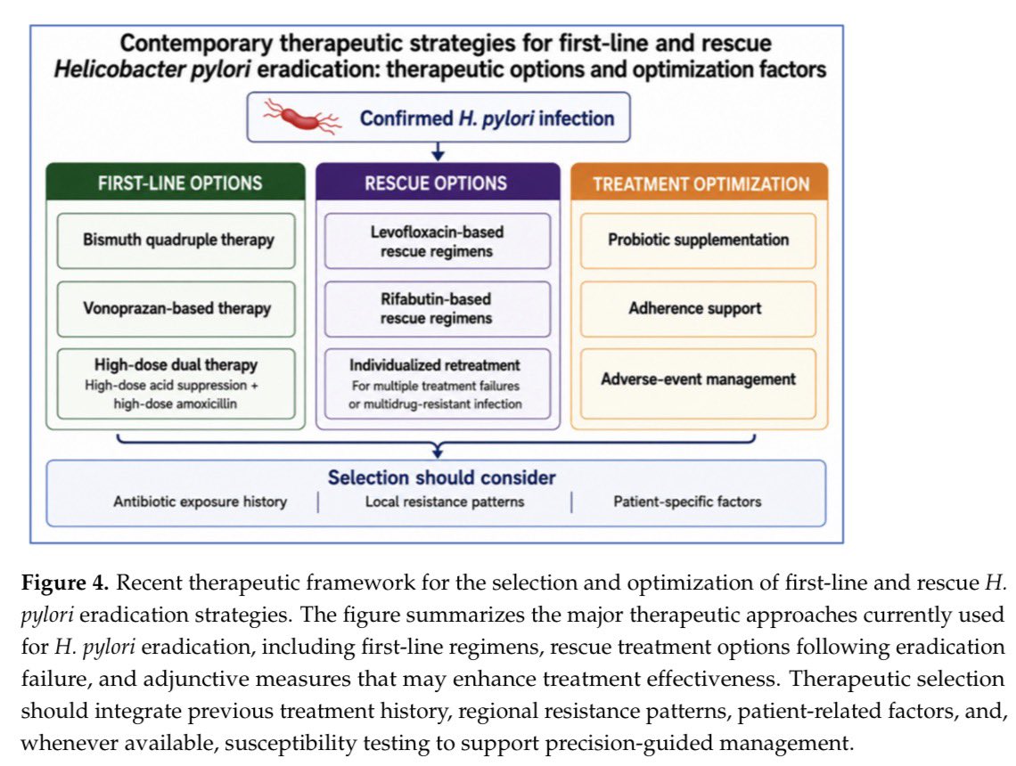 AliSMV7's tweet photo. Helicobacter pylori Eradication in the Era of Antibiotic Resistance: From Universal Regimens to Precision-Guided Management

https://t.co/xLUMQKVT2z https://t.co/mKBSSJxEGp