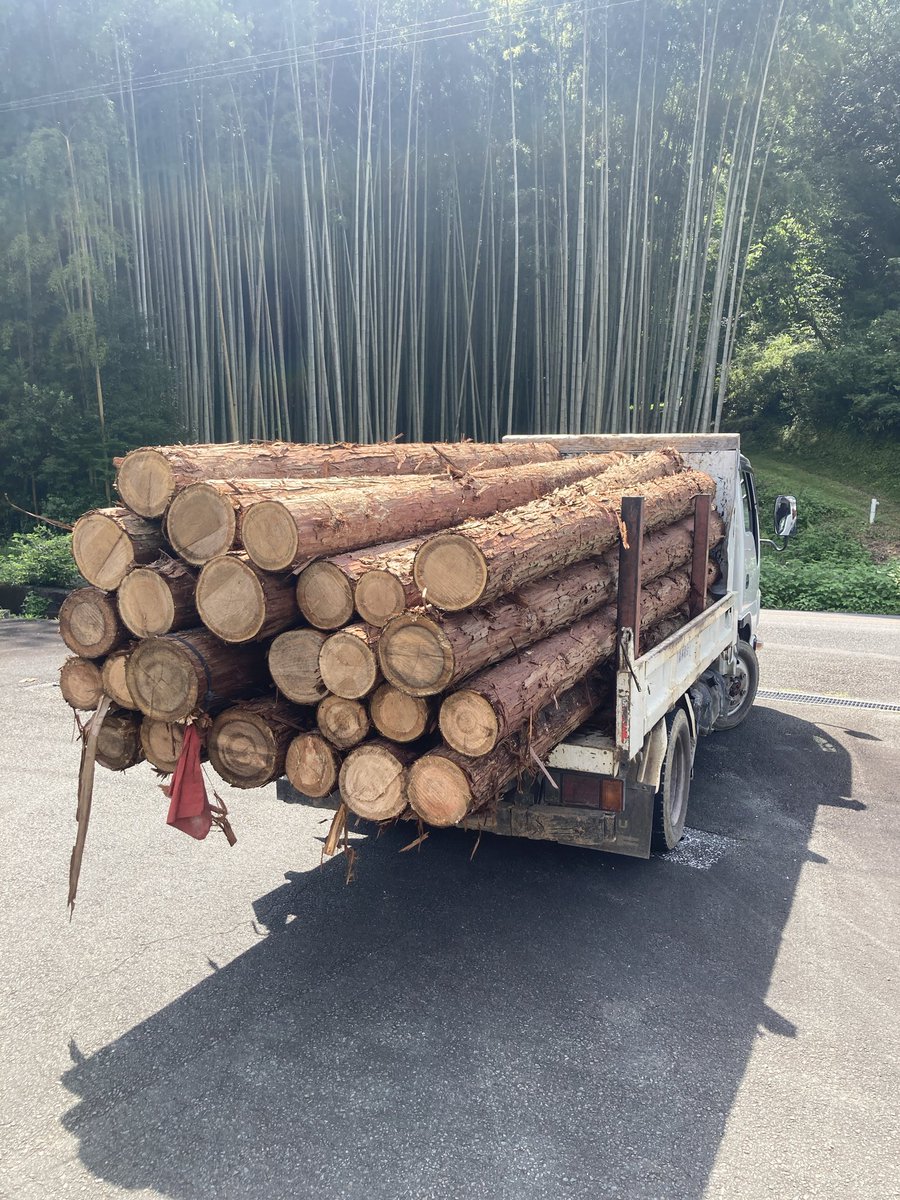 baum_llc's tweet photo. 面白い注文！
弊社も毎年、よさこい祭りのチームを先導する地方車の製作に関わらせてもらってます、とあるチームから、皮付き背板を使ったパネルを装飾に使いたいと注文入りました！
管理を任せられている山林で、2月に伐採した桧を山から降ろして来ました。この内、2本を背板を取るために製材します！ https://t.co/1tQLZ7Uibu
