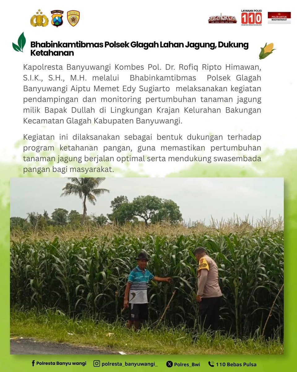 Polres_Bwi's tweet photo. Bhabinkamtibmas Polsek Gambiran Glagah Banyuwangi Aiptu Memet Edy Sugiarto melaksanakan kegiatan pendampingan dan monitoring pertumbuhan tanaman jagung milik Bapak Dullah di Lingkungan Krajan Kelurahan Bakungan Kecamatan Glagah Kabupaten Banyuwangi https://t.co/jVgzFDSOVj